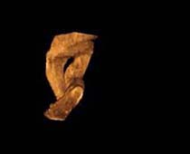 Échographie 3D de jambes fœtales 2