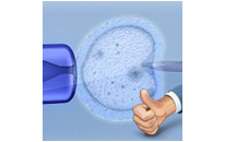 Success Rates of IVF - ICSI - TESA - TESE - Success Rates IUI