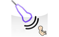 Fetal behavior during pregnancy