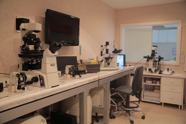 IVF Laboratory