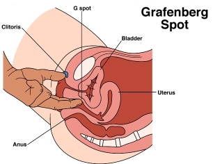 Amplification of the G spot