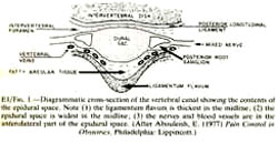 Anatomy of epidural space