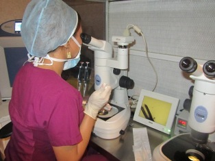 Embryo cryopreservation procedure