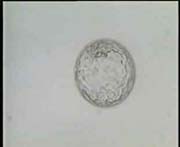 Expanded Blastocyst with clear inner cell mass