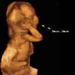 Fetal behavior during pregnancy