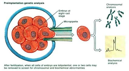 Preimplantation genetic analysis