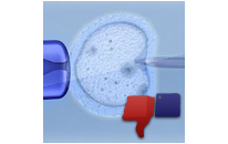 IVF, ICSI Failure - Treating Failed In Vitro Fertilization - what is IVF Failure