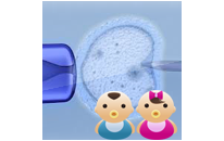 The ART of In Vitro Fertilization - The A.R.T. of Making Babies - hope in the hearts of couples who suffer from infertility