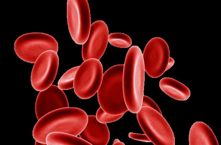 Blood type and its effect on female fertility