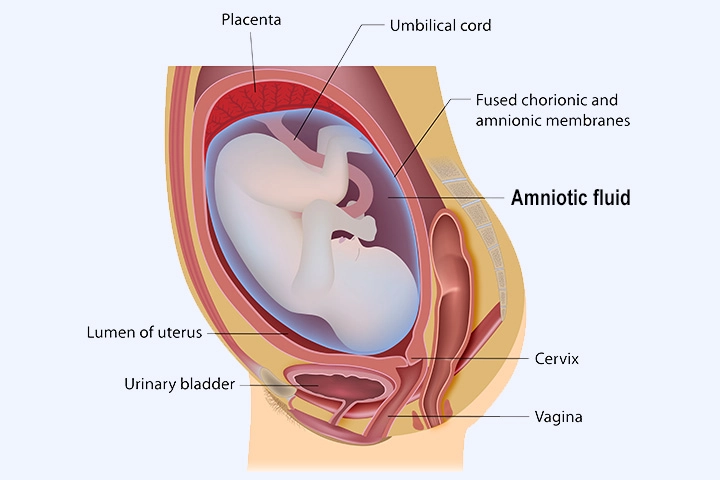 فحص السائل الامينوسي خلال الحمل