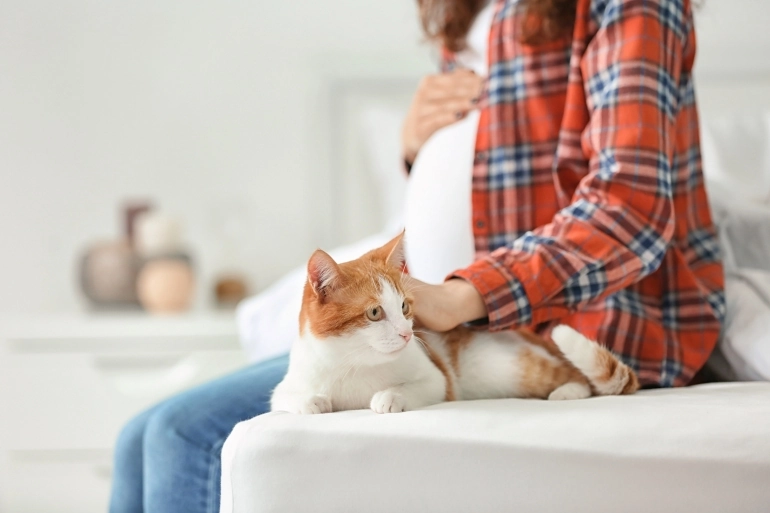 Cats and pregnancy