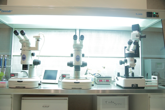 IVF Laboratory