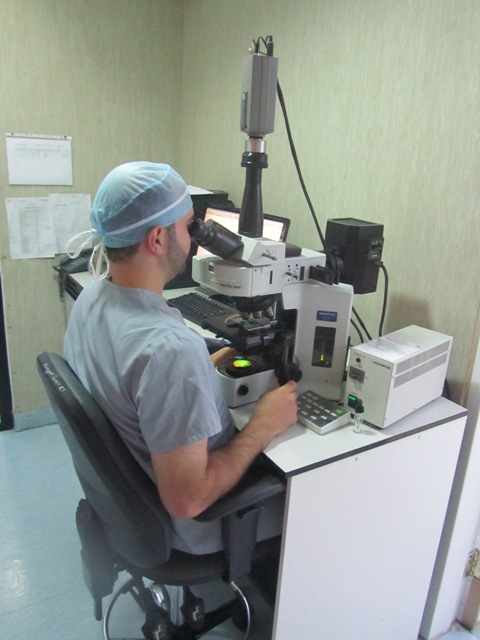 Effectuant le diagnostic préimplantatoire génétique à l'aide du microscope fluorescent