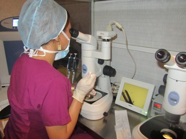Préparation de transfert d'embryons